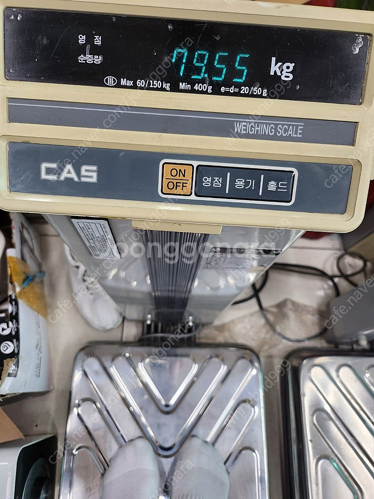 카스 고중량 150kg 목욕탕 사우나 저울 방수 경기광...--1
