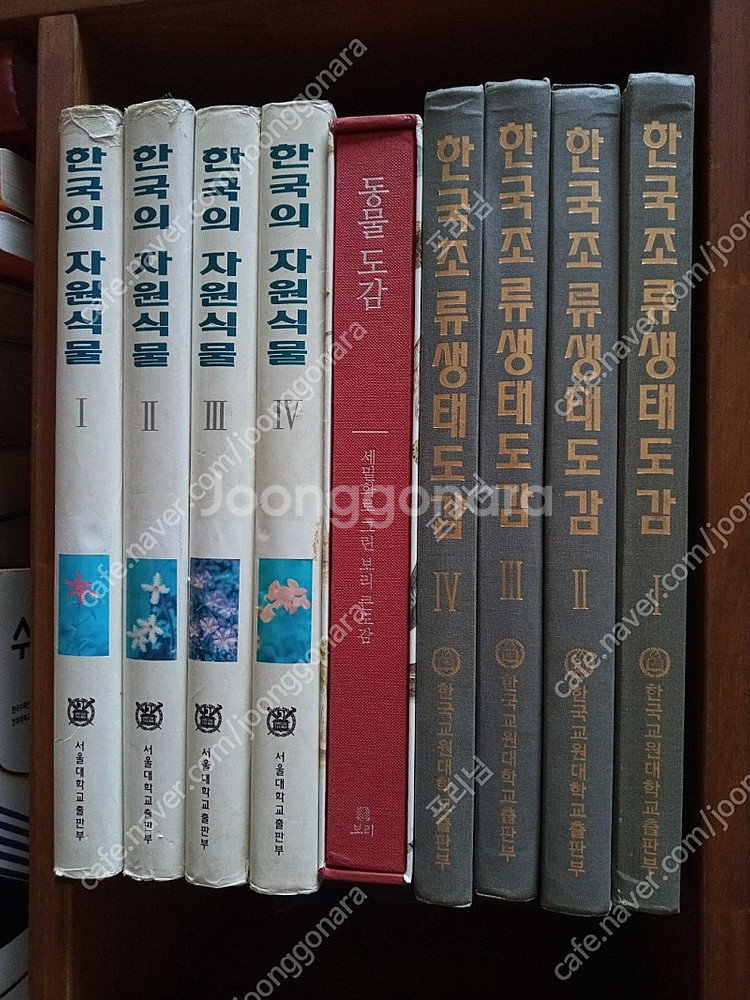 나무, 곤충, 버섯, 식물, 조류 도감--0