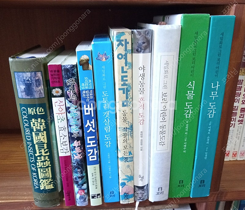 나무, 곤충, 버섯, 식물, 조류 도감--1