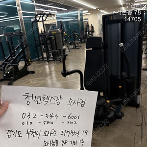 매트릭스 플라이 / 싸이벡스 이글 플라이 헬스 기구 판매합니다.