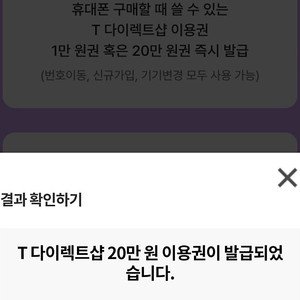 티다이렉트샵 20만원 이용권