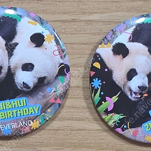 에버랜드 루이후이 생일 뱃지
