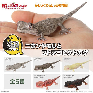 BANDAI(반다이), 생물대도감: 렙티 일본도마뱀붙이(게코), 다크, 급처합니다.