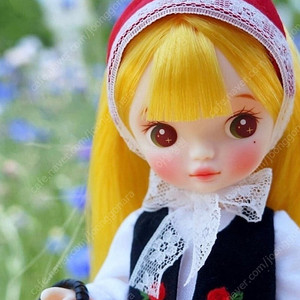 육일인형 라라코코돌 요하나 개봉셋