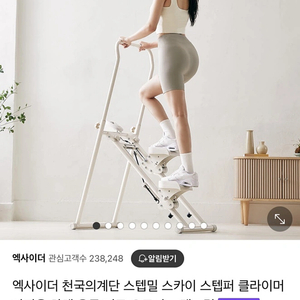 엑사이더 스텝퍼(가정용 천국의계단)