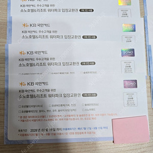 로블 워터파크 2인 사용권 4장