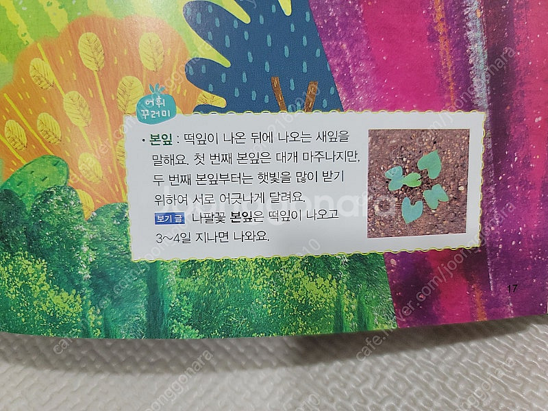 웅진 교과어휘확장책 말가람 - 완벽구성, 새책수준--8