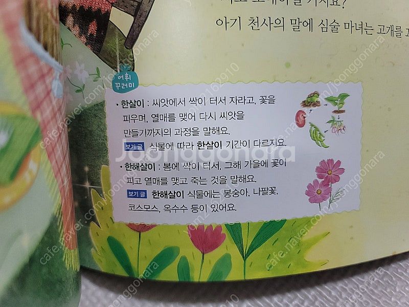 웅진 교과어휘확장책 말가람 - 완벽구성, 새책수준--9