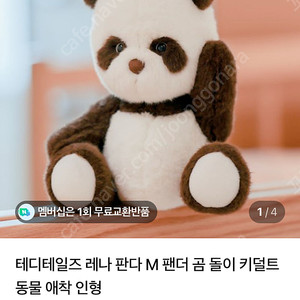 테디테일즈 m판다 교환해요
