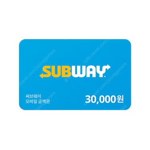 서브웨이 3만원 금액권