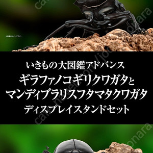 생물대도감 어드벤스 기라파 톱사슴벌레와 만디블라리스 큰턱 사슴벌레 시리즈 프리미엄 가챠 미개봉 판매 합니다.