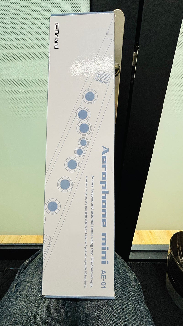 롤랜드 에어로폰 미니 AE-01 Roland Aerophone 이미지