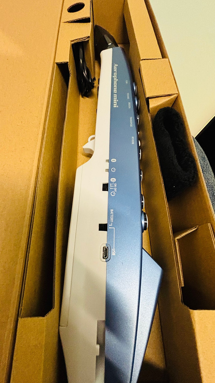 롤랜드 에어로폰 미니 AE-01 Roland Aerophone 이미지