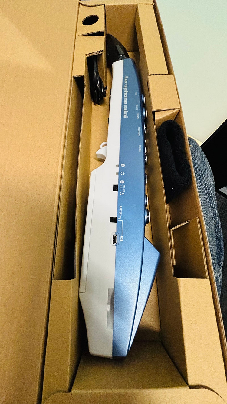 롤랜드 에어로폰 미니 AE-01 Roland Aerophone 이미지