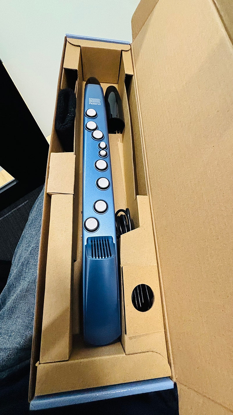 롤랜드 에어로폰 미니 AE-01 Roland Aerophone 이미지