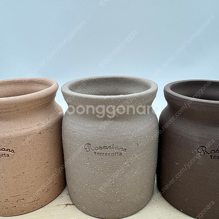 로자리안 토분 호야화분 4종 택포--3