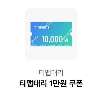 Tmap대리 티맵 대리 1만원권 티맵대리 금액권 티맵대...--0