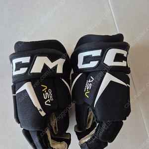 아이스하키 장갑+신가드