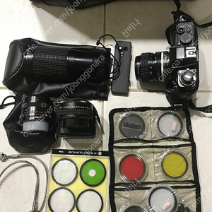 니콘 F301 카메라 렌즈 일괄팝니다