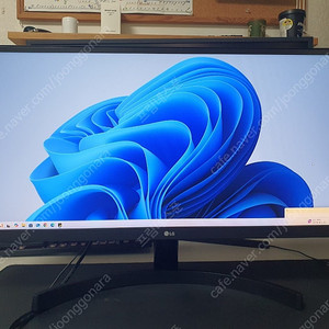 LG 29인치 WFHD 울트라와이드 모니터