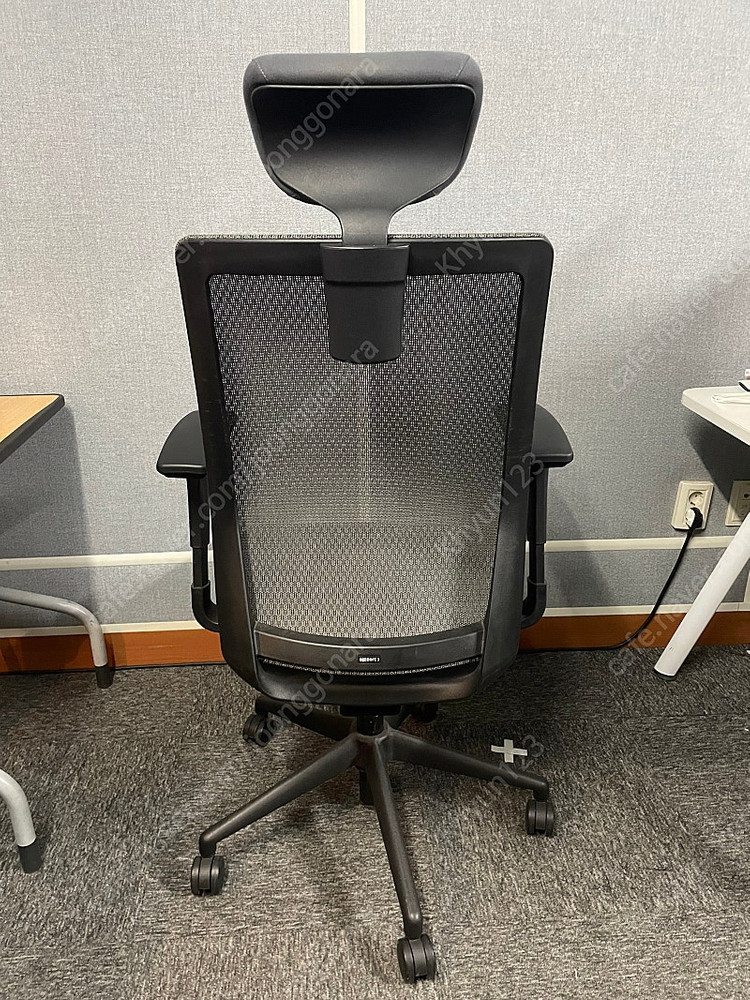 사이즈오브체어 베이직 L (구 XL) 판매--2