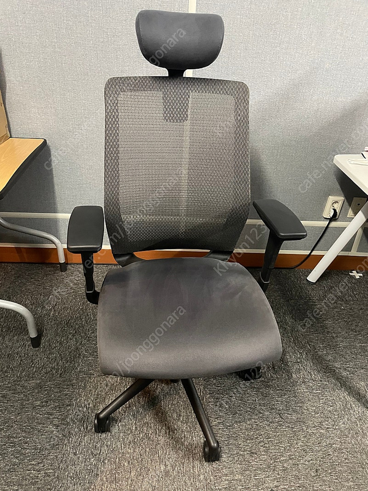 사이즈오브체어 베이직 L (구 XL) 판매--3