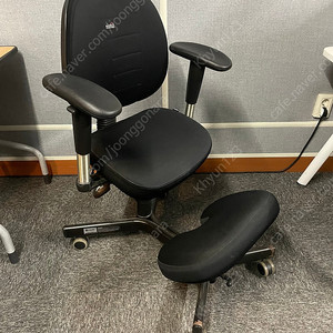 니스툴 N750 허리디스크 의자 무릎의자