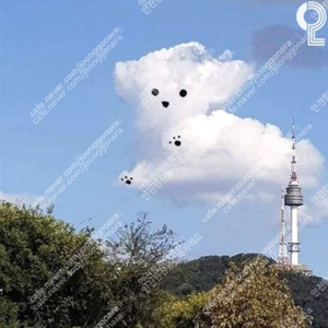 정가이하 삼성 KT위즈파크 8월 8일 금요일 9일 토요일 KT위즈 케이티 삼성라이온즈 통로석 3루 응원지정석 응원석 2연석 4연석 수원위즈파크