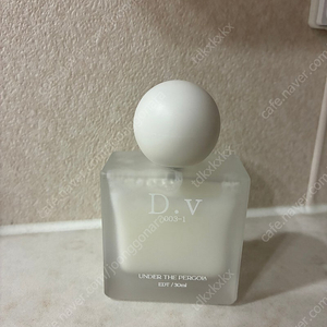 언더더파고라 dv 팝니다!