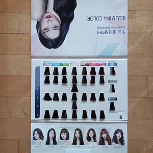 웰라 염색 차트 25,000원