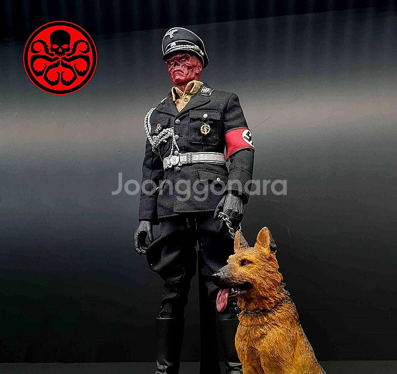 (개인소장)핫토이 레드스컬 커스텀+셰퍼드 12인치 피규...--0