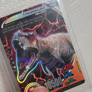 티렉스 게임 5성 티라노사우르스 카드