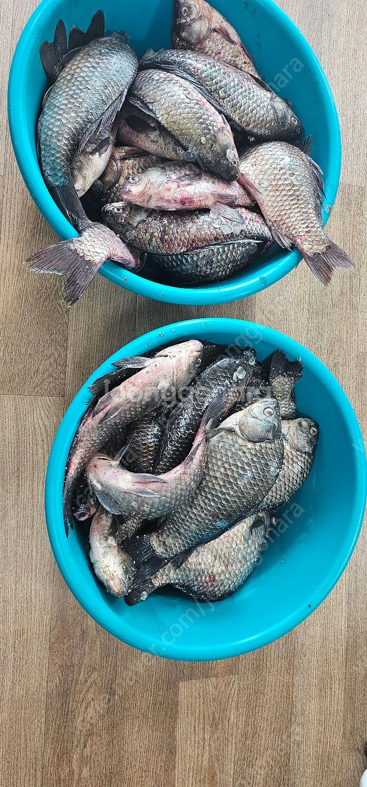원투채비재료삽니나--0