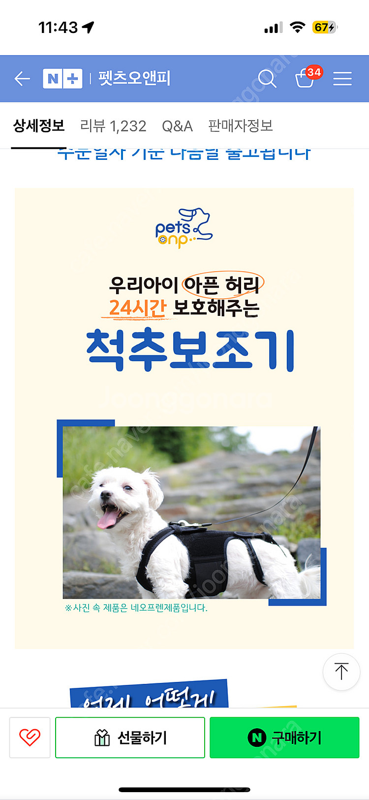 펫츠오엔피 허리보호대 S사이즈입니다--1