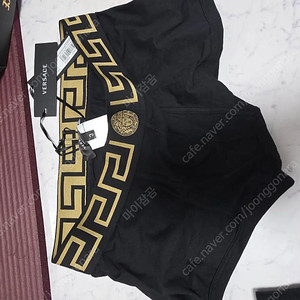 바디프로필용 베르사체 카미드 팬티팝니다