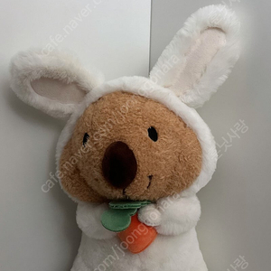 쿼카인형