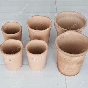 로자리안 웨이브 프릴 토분 일괄 판매합니다.