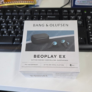 B&O 뱅앤올룹슨 베오플레이 EX 팝니다