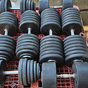 덤벨 60kg 판매