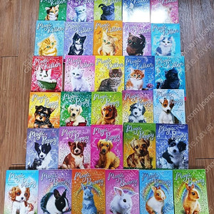 정품 magic kitten 시리즈(챕터북 미활용책),,,The secrets of Droon1-30 세트 (시크릿오브드룬)
