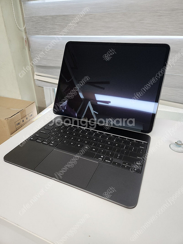 아이패드 프로 M4 13인치(512기가, 와이파이), ...--1