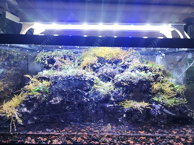 능선 계곡물 비바리움 어항--0