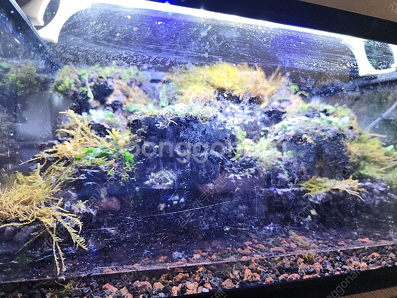 능선 계곡물 비바리움 어항--2