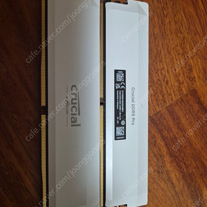 마이크론 ddr5 32gb ram 팝니다