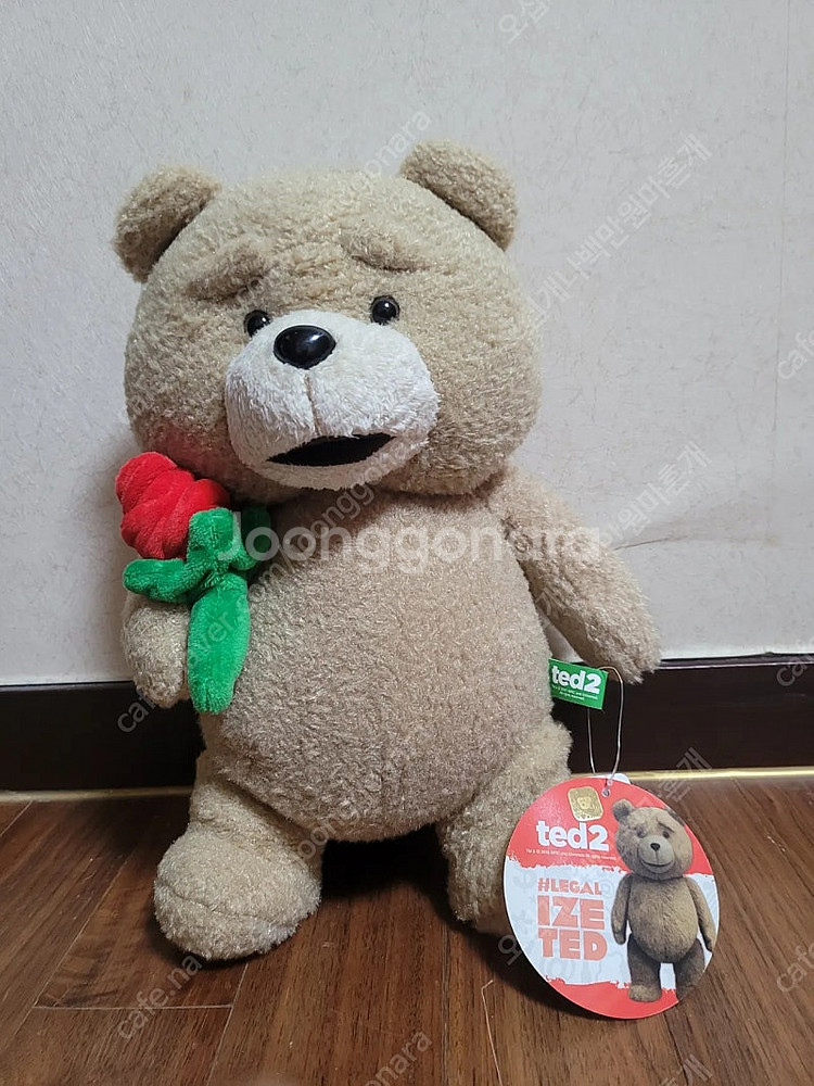 (가격내림) 곰인형 19곰 테드2 (30cm)--0
