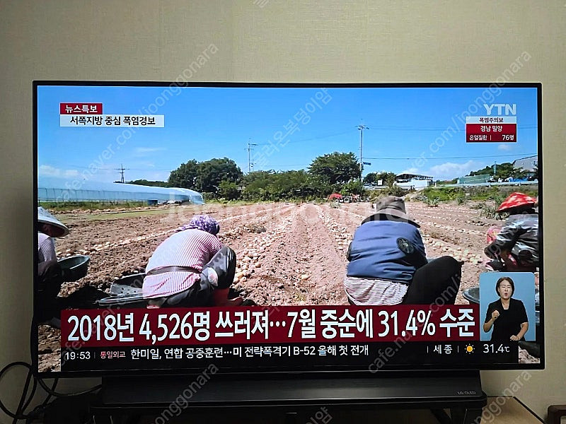LG OLED 48C1 KNB TV--0