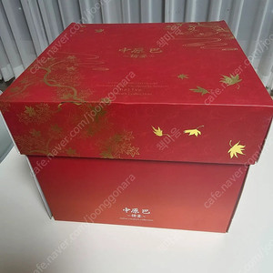 네이티브 토모에 (유연)