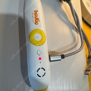 호두펜 (반택포)