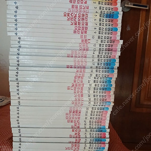 자연의 신비