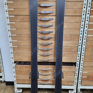 아토믹스키 1415 레드스터 더블덱(178cm) 저렴하게 팝니다.(상태 좋음)
